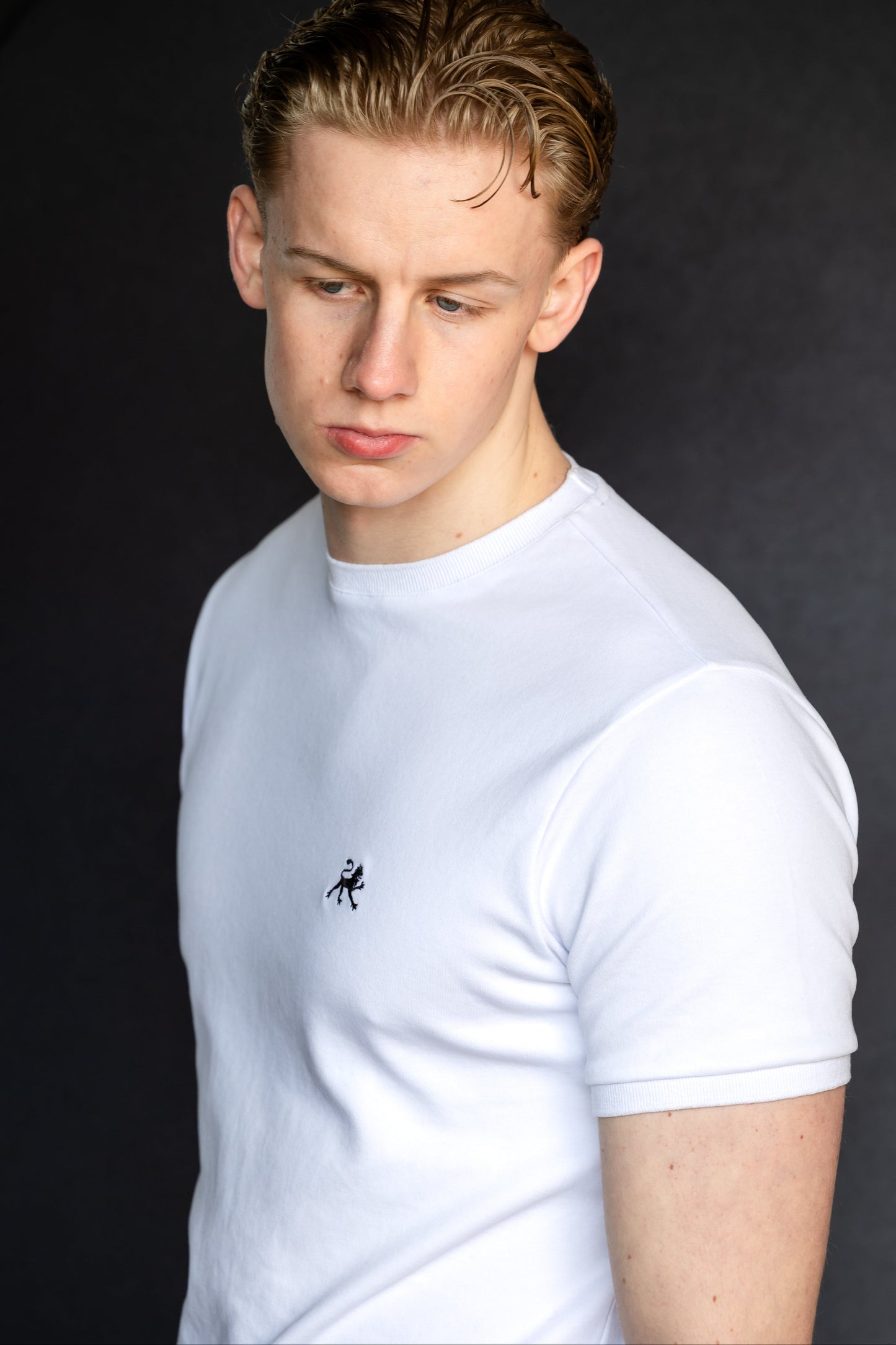 Arxoú Essential T-Shirt (265 GSM)
