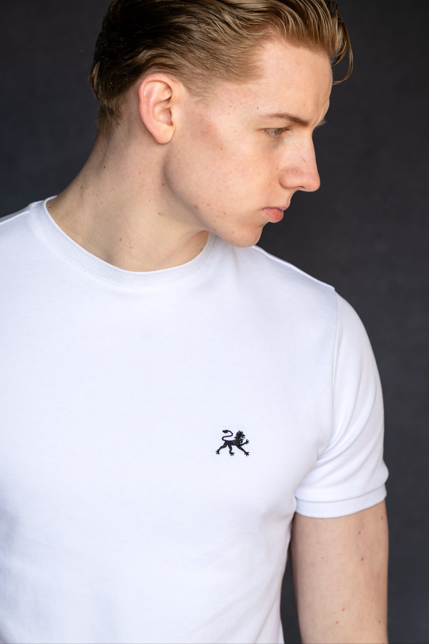 Arxoú Essential T-Shirt (265 GSM)