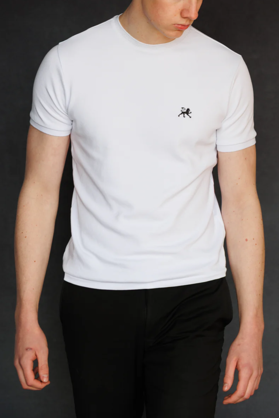 Arxoú Essential T-Shirt (265 GSM)